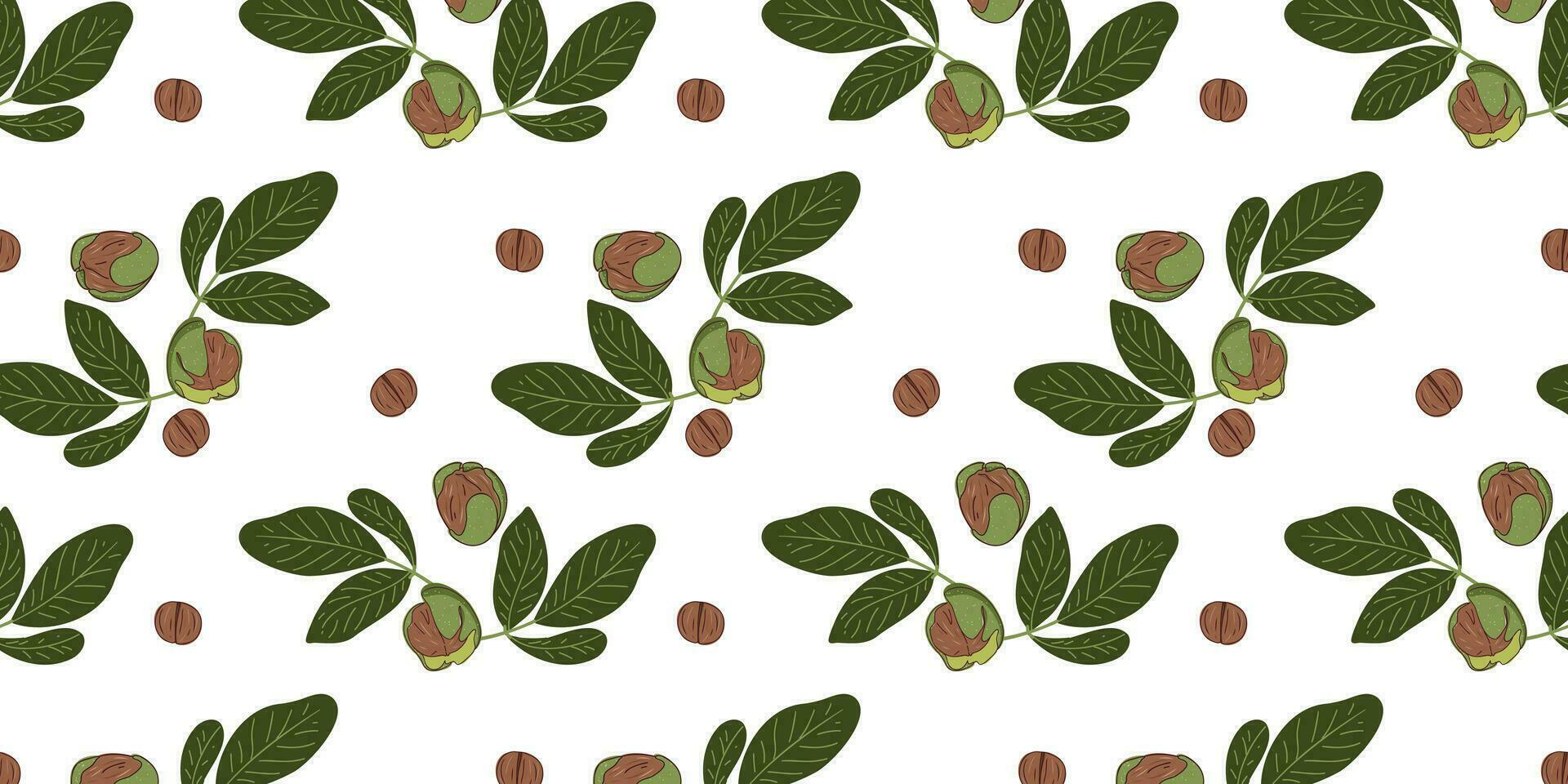 Seamless pattern with walnuts and green leaves. vector