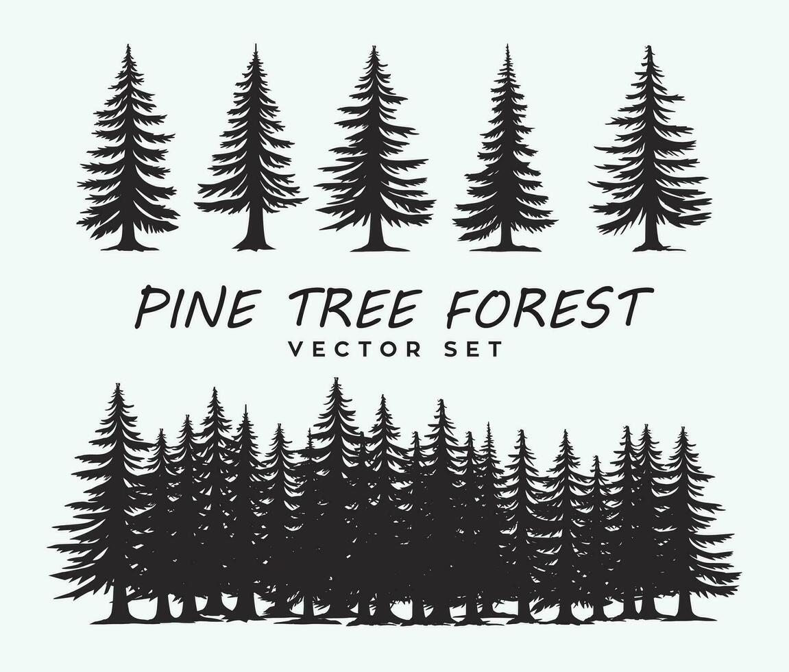 Pine trees forest silhouettes, woods, vector design