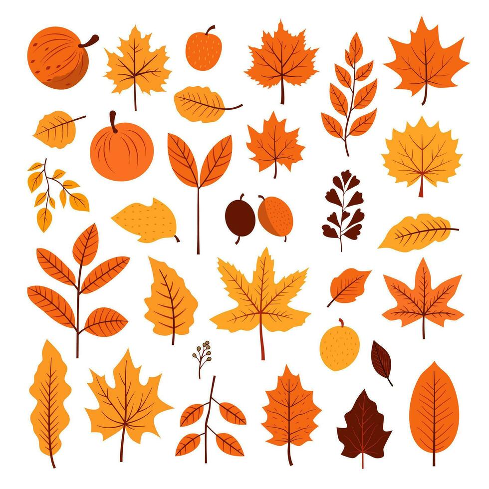 Collection set of Autumn fall leaves decoration element, flat style illustration. vector