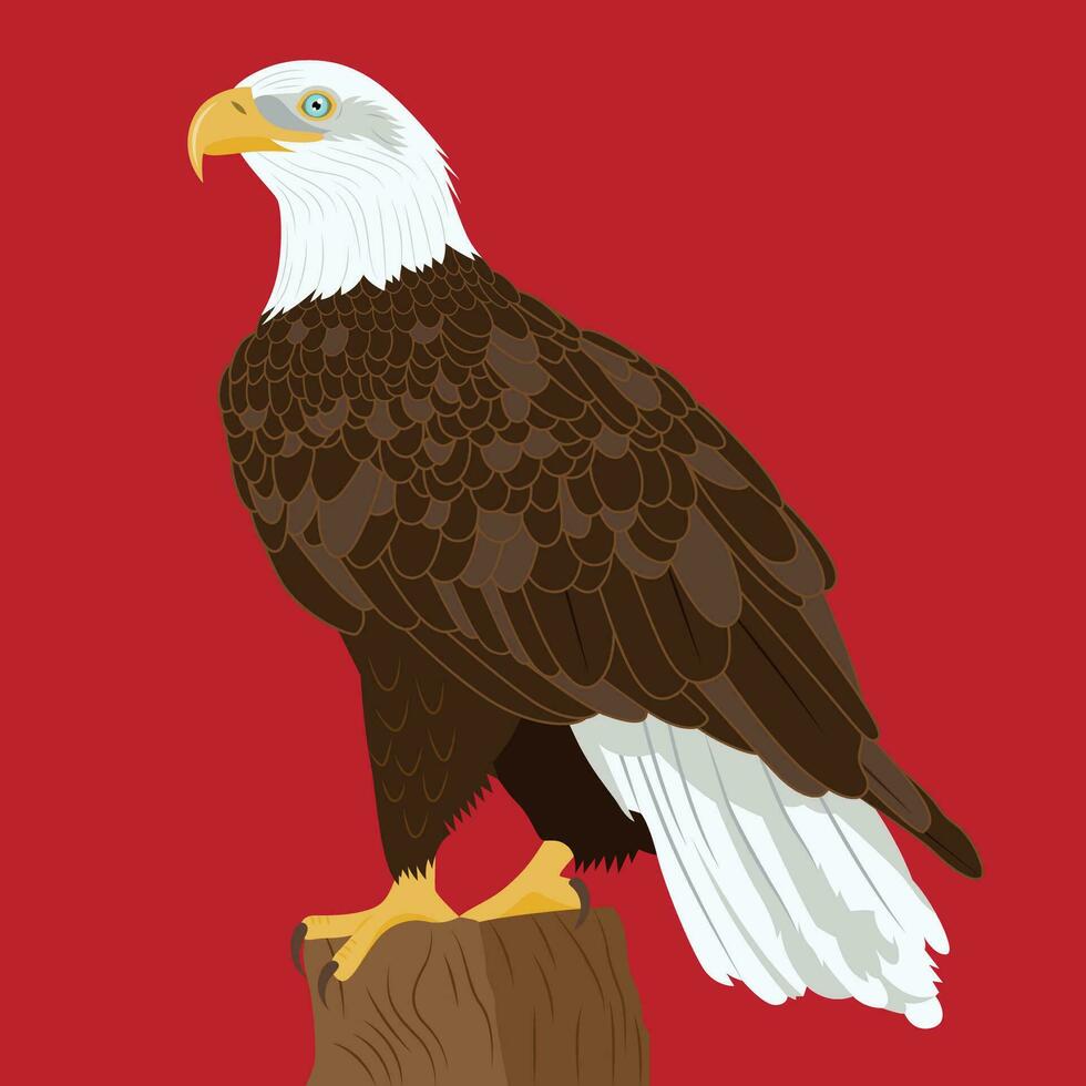 Bald Eagle flat illustration vector