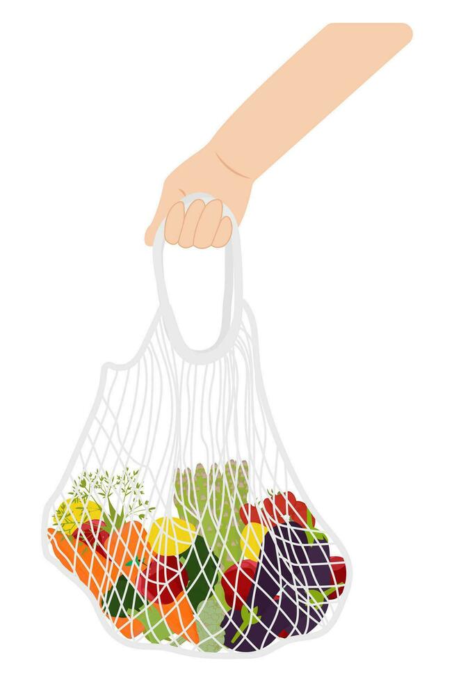 el mano sostiene un avoska. avoska, un red es un tejido bolsa. Avoska con vegetales y frutas vector