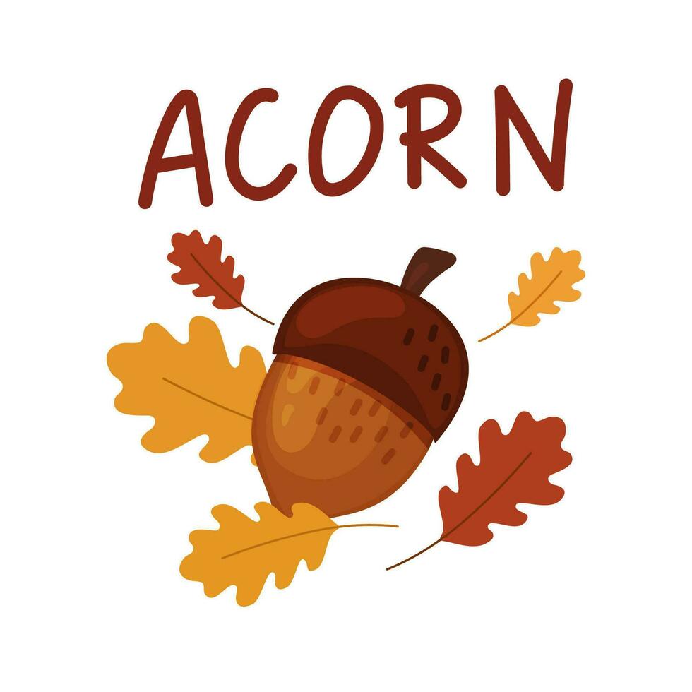 Oak fruit on the background of autumn leaves.Cartoon style acorn isolated on a white background. vector
