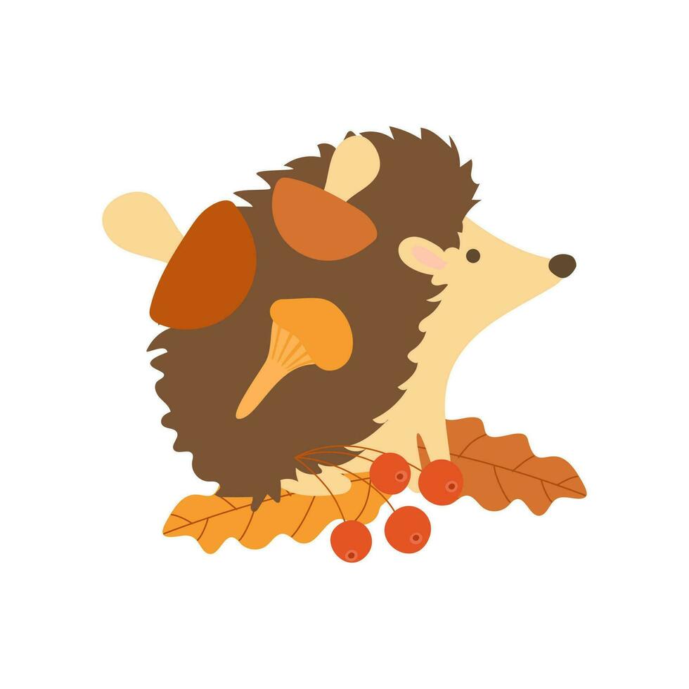 A hedgehog in the autumn forest sits on colorful leaves with berries. An illustration of a hedgehog with leaves in flat style isolated on a white background. vector