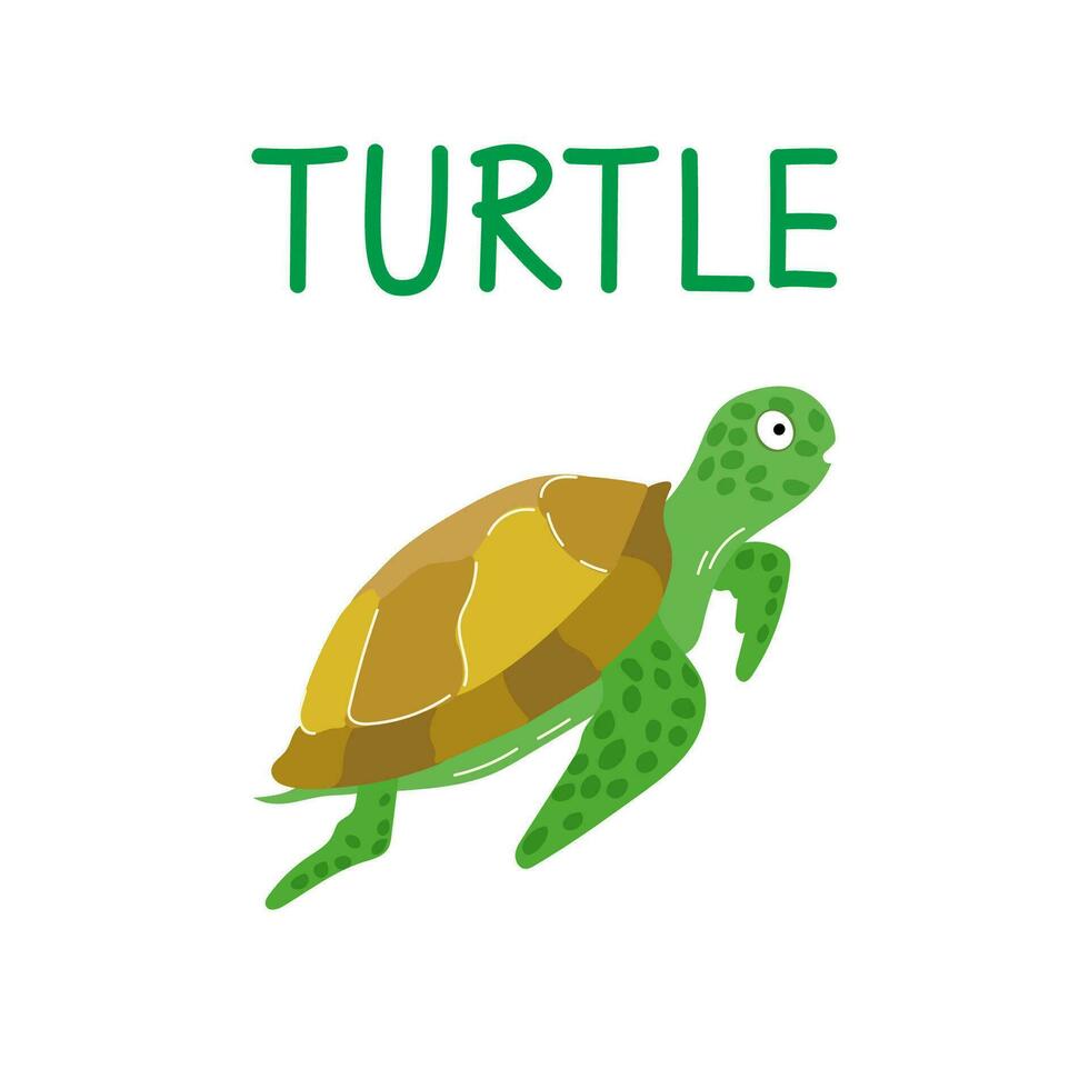 Marine life, life underwater, cute turtle swims underwater. Cartoon style green sea turtle isolated on a white background. vector