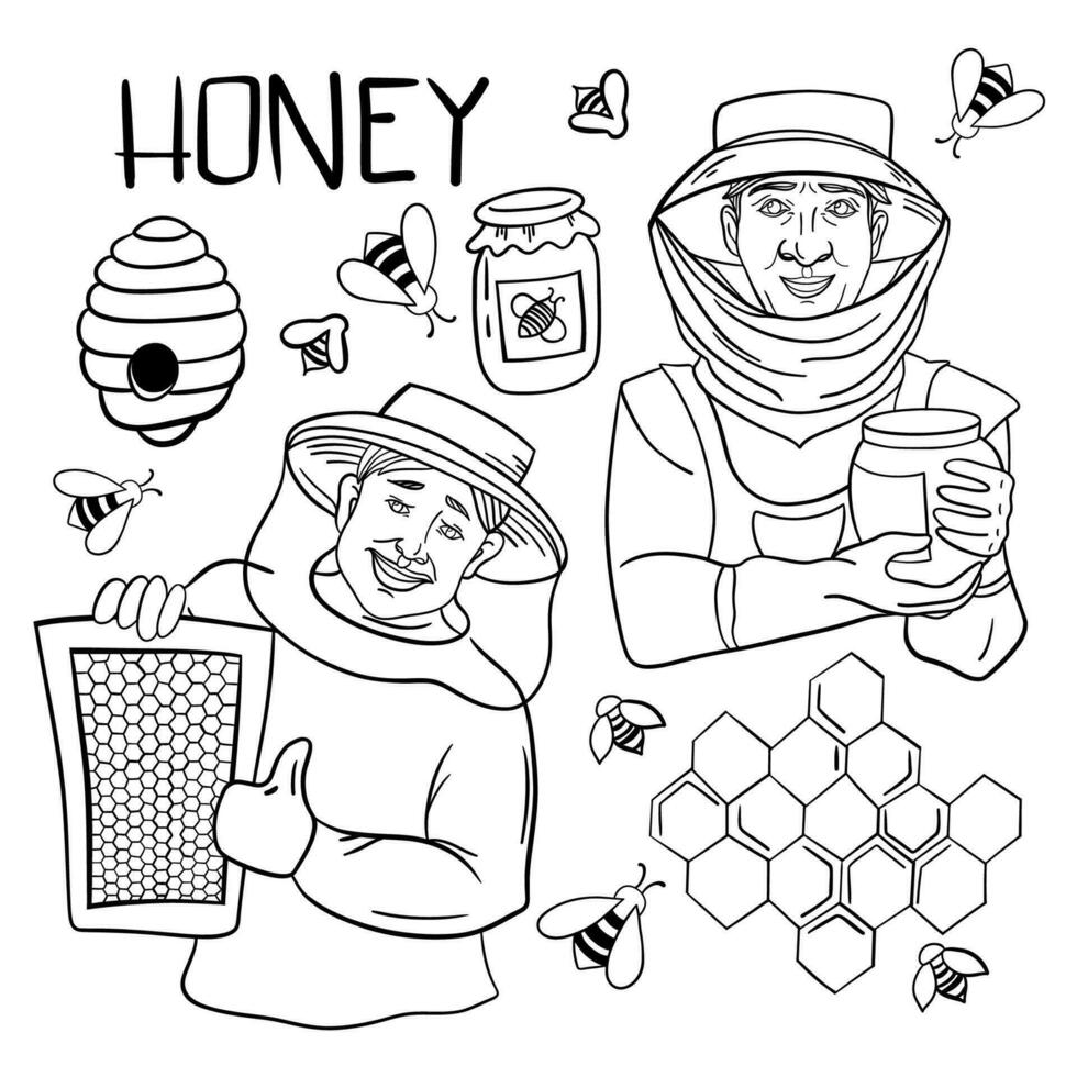 Sketch of honey elements. Hand drawn illustration converted to vector
