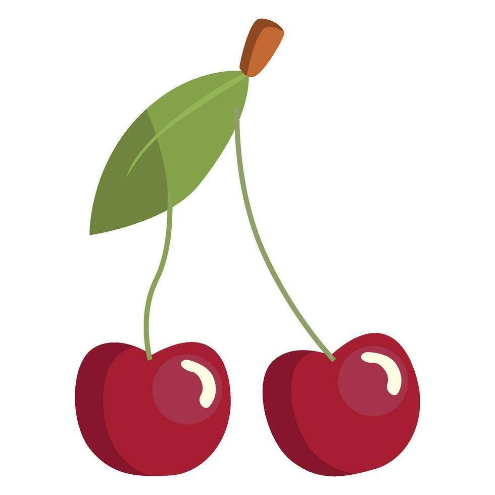 Cherry Illustration design on white background vector