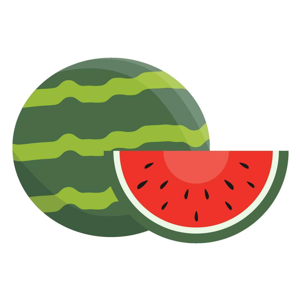 Watermelon Illustration design on white background vector