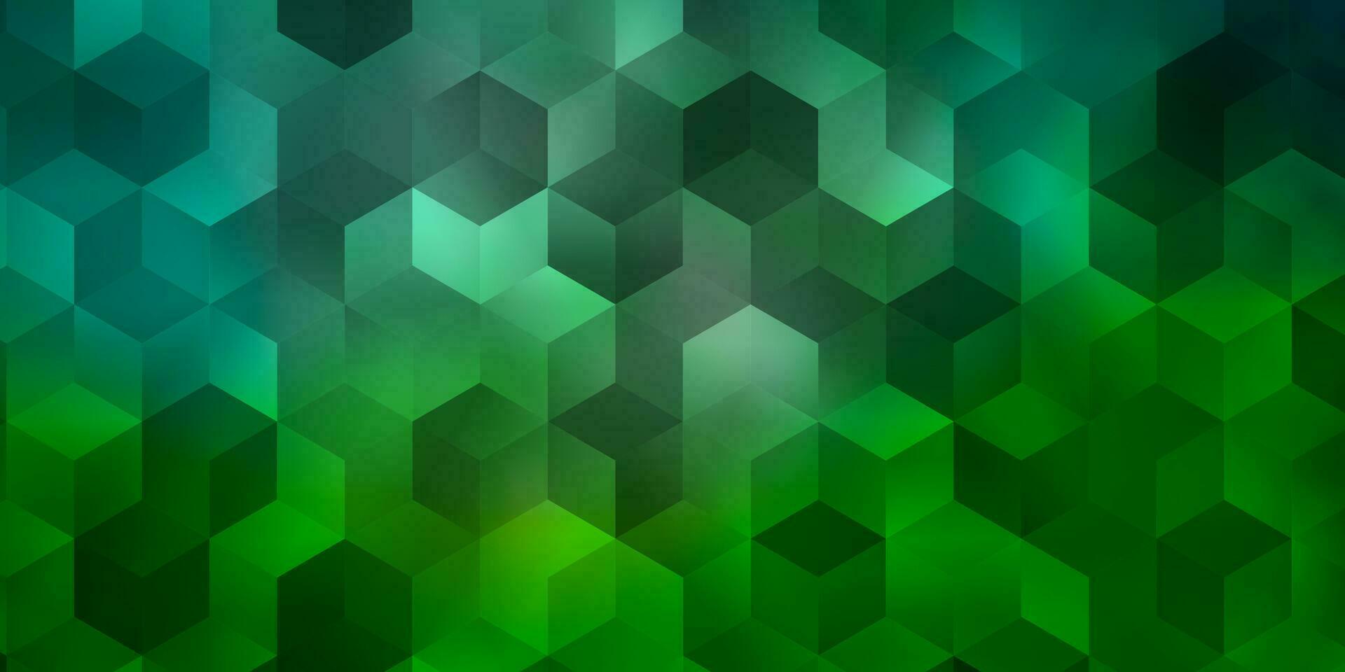Light Green vector background with hexagons.