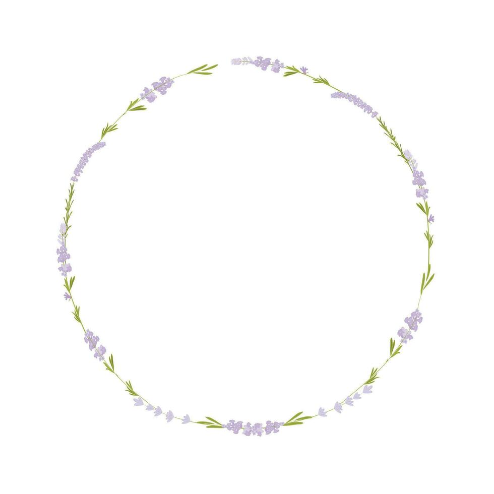 Round frame made of lavender flowers. vector stock illustration. Delicate lilac buds. Purple template for a wedding invitation. Isolated on a white background.
