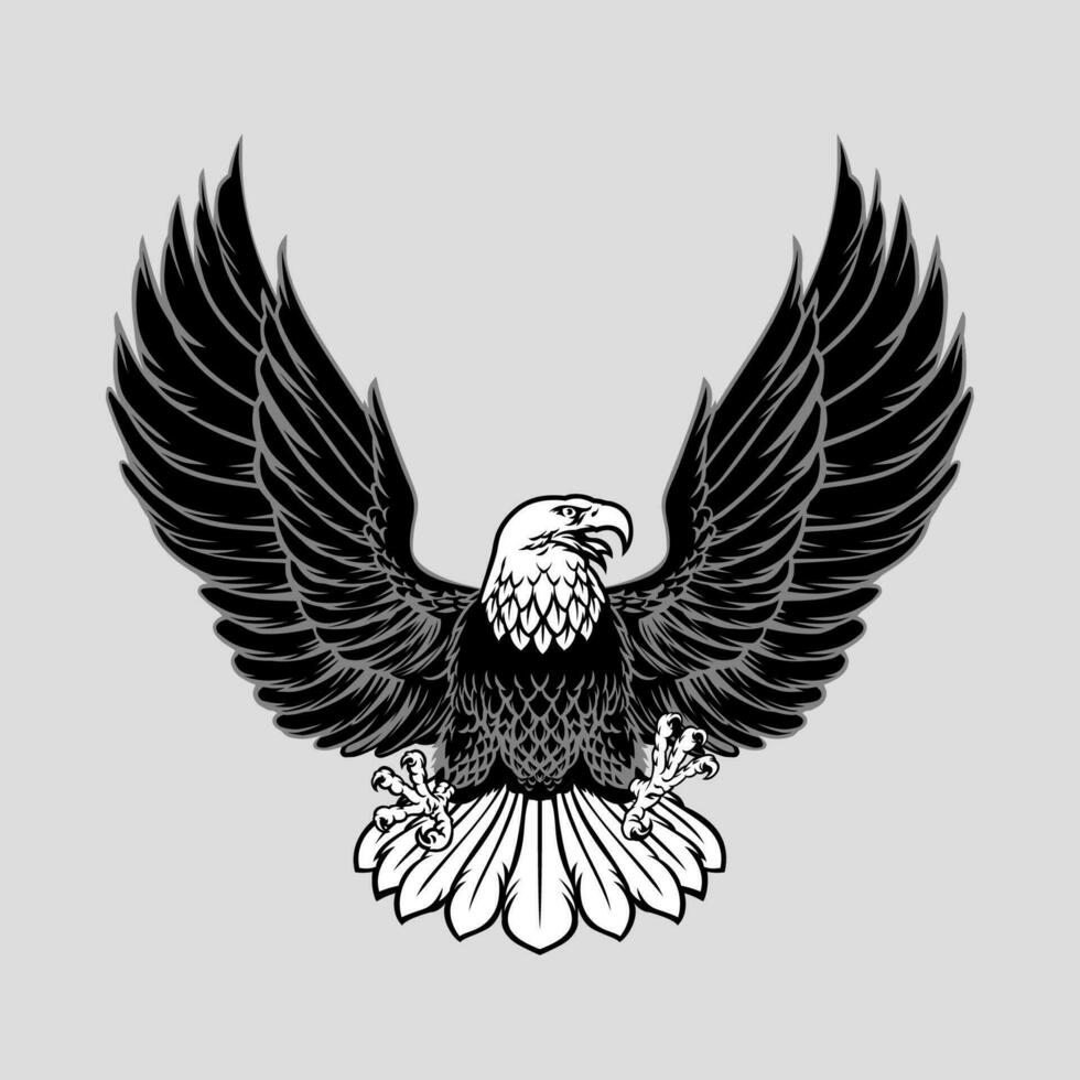 Black and white Bald Eagle Illustration spreading the wings vector