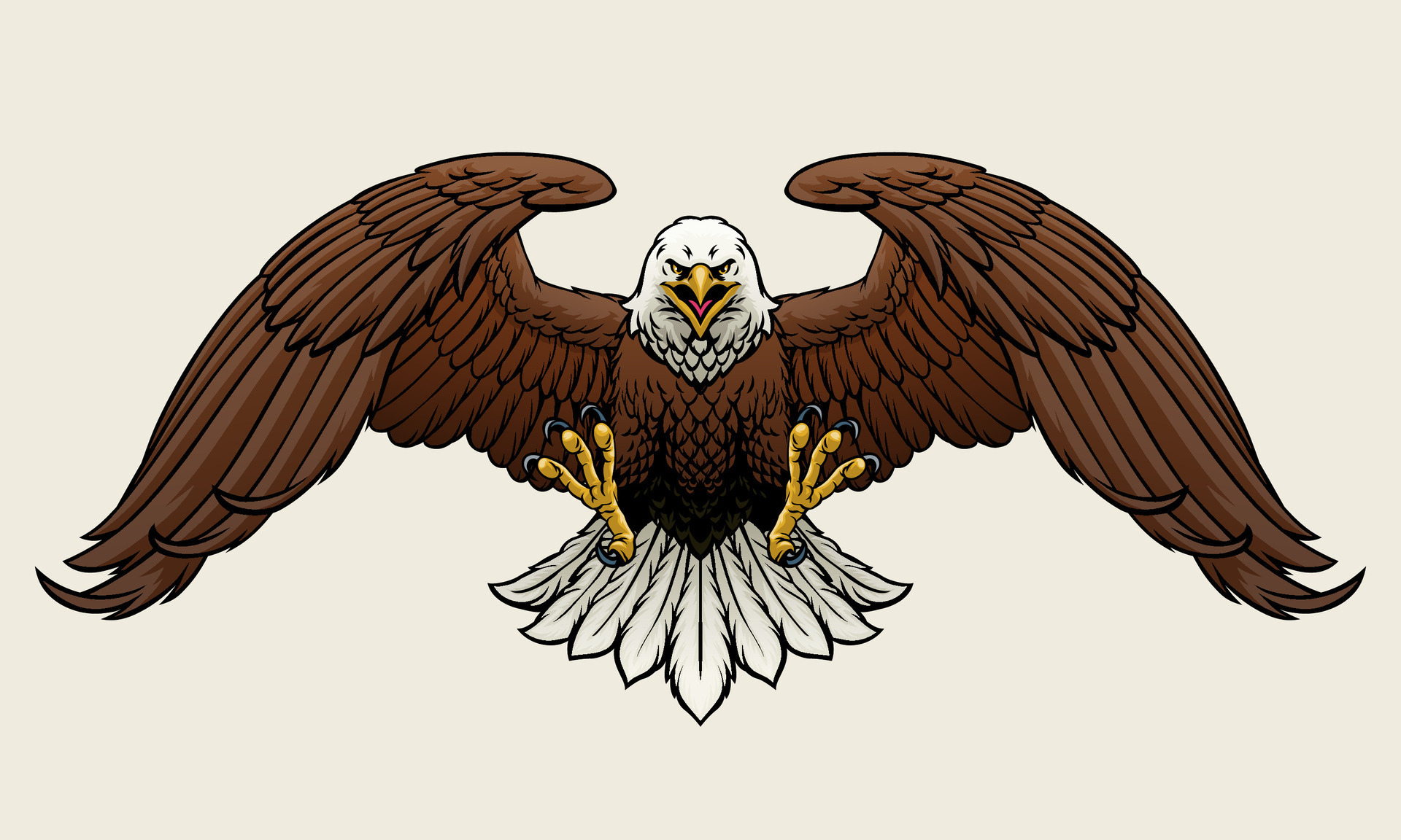 Fierce Bald Eagle Spread the Wings Vector Illustration 25678783 Vector