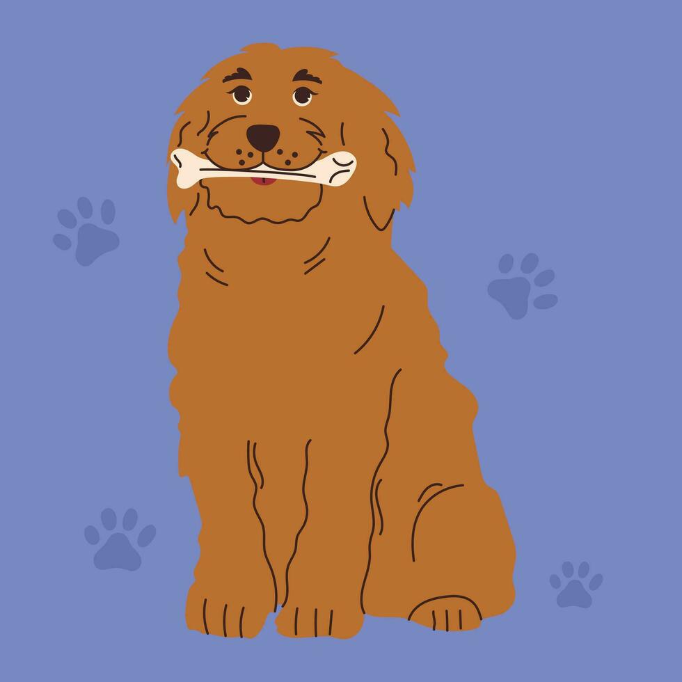 Dog with toys for brushing or massaging teeth. Dog dental health. Canine dental care and hygiene concept. Vector illustration