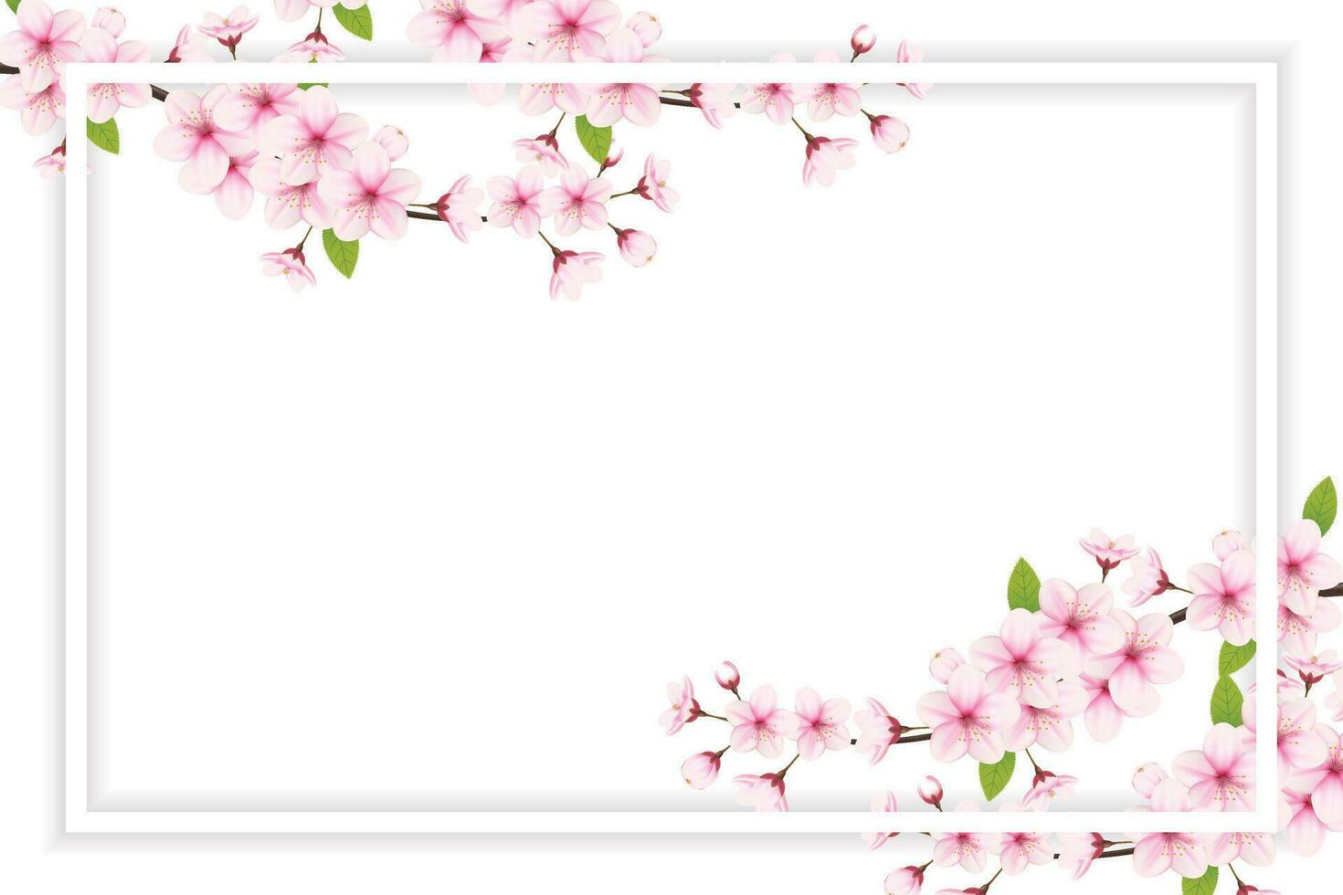 Cherry blossom frame with space for text. Vector illustration. cherry blossom vector. pink sakura flower background. cherry blossom flower blooming vector