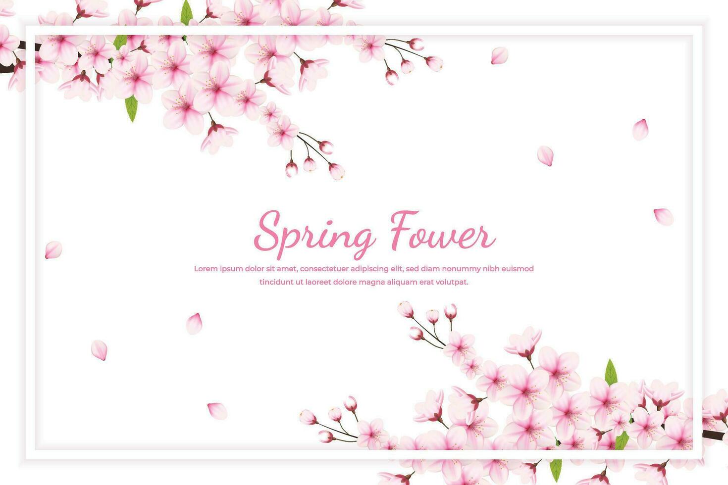 Cherry blossom background with white frame for text. Vector illustration.
