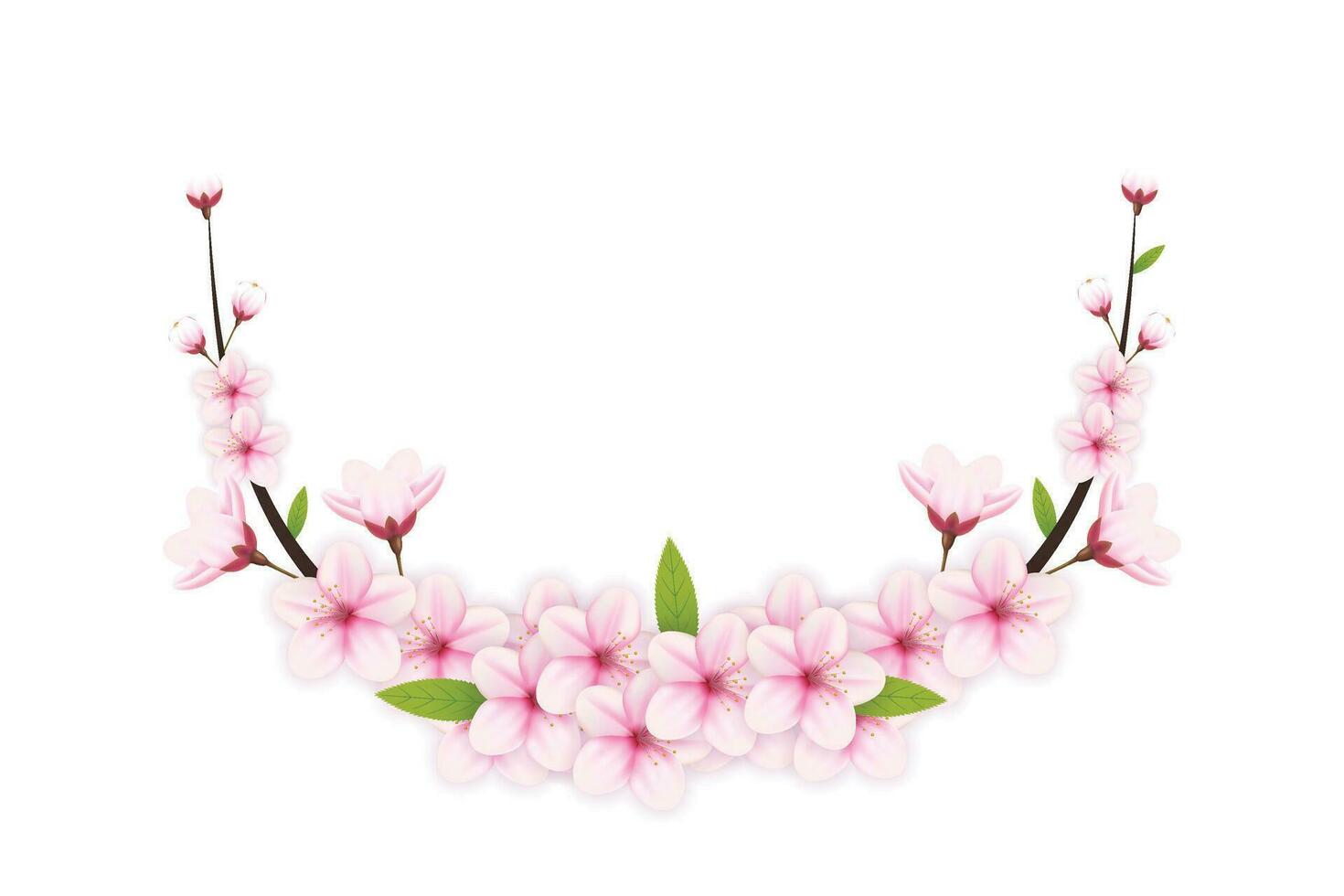 Cherry flowers background and petals illustration,cherry blossom frame  vector. pink sakura flower background. cherry blossom flower blooming vector