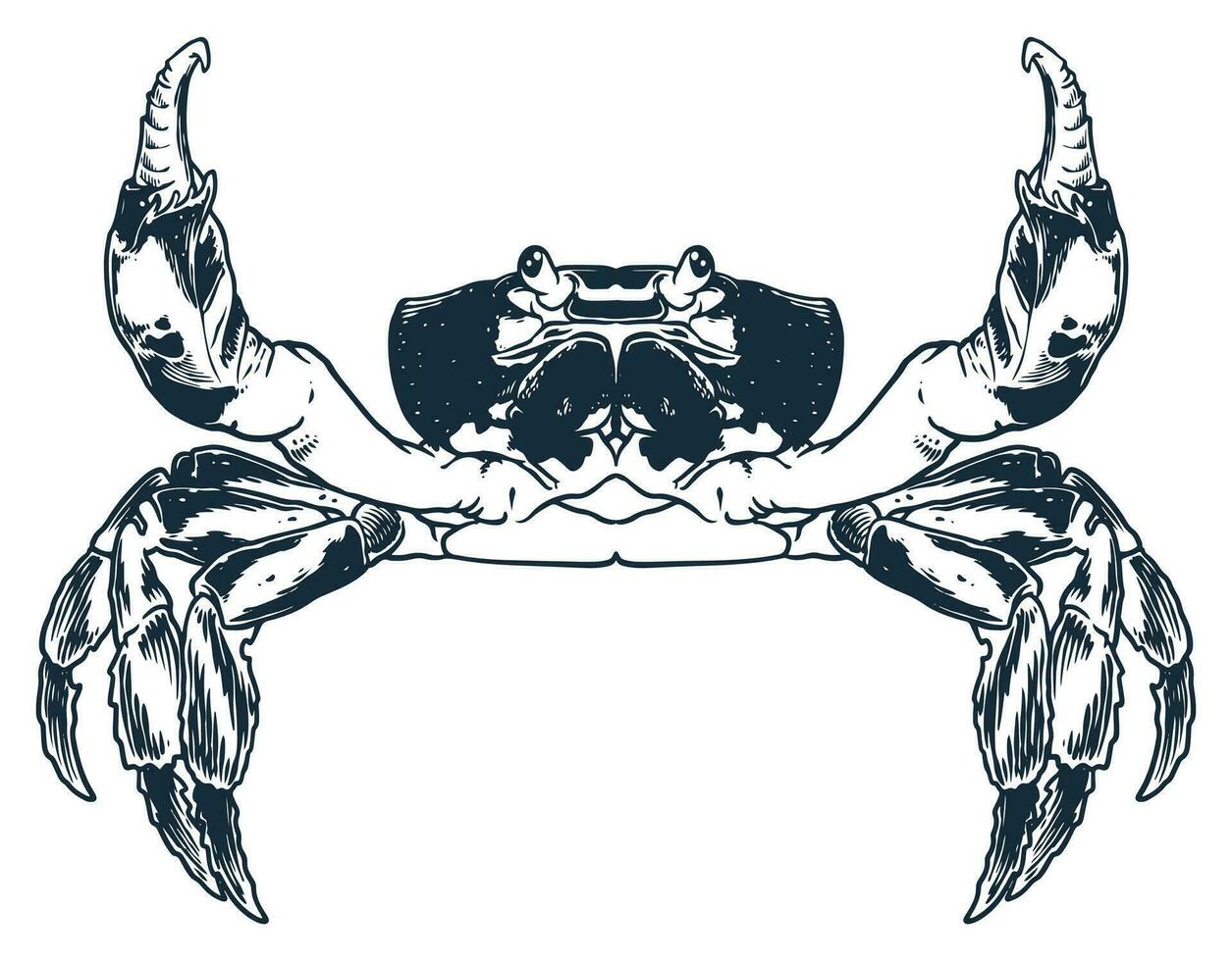 Seafood animal crab engraving drawing vector Hand sketch vintage style