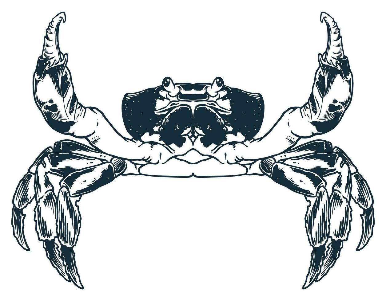 Seafood animal crab engraving drawing vector Hand sketch vintage style