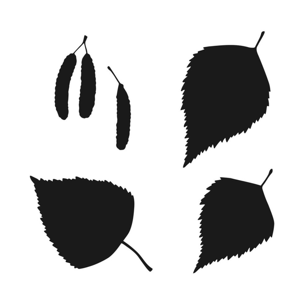 Set with silhouette birch leaf. Hand drawn autumn vector illustration.