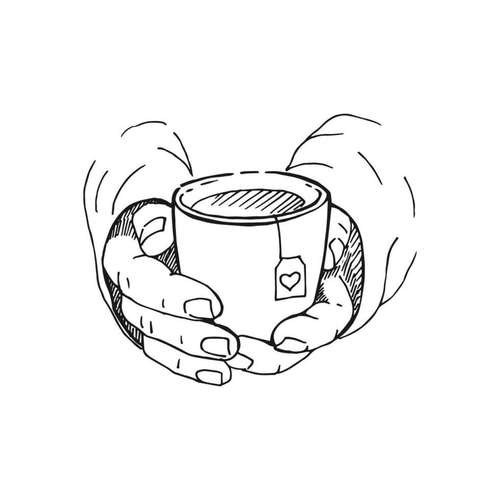 Hand drawn sketch of hands holding a cup of coffee, tea etc. Vector illustration isolated on white background.