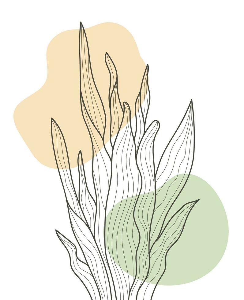 Hand Drawn Flat Design Simple Flower and Tropical Plant Outline vector