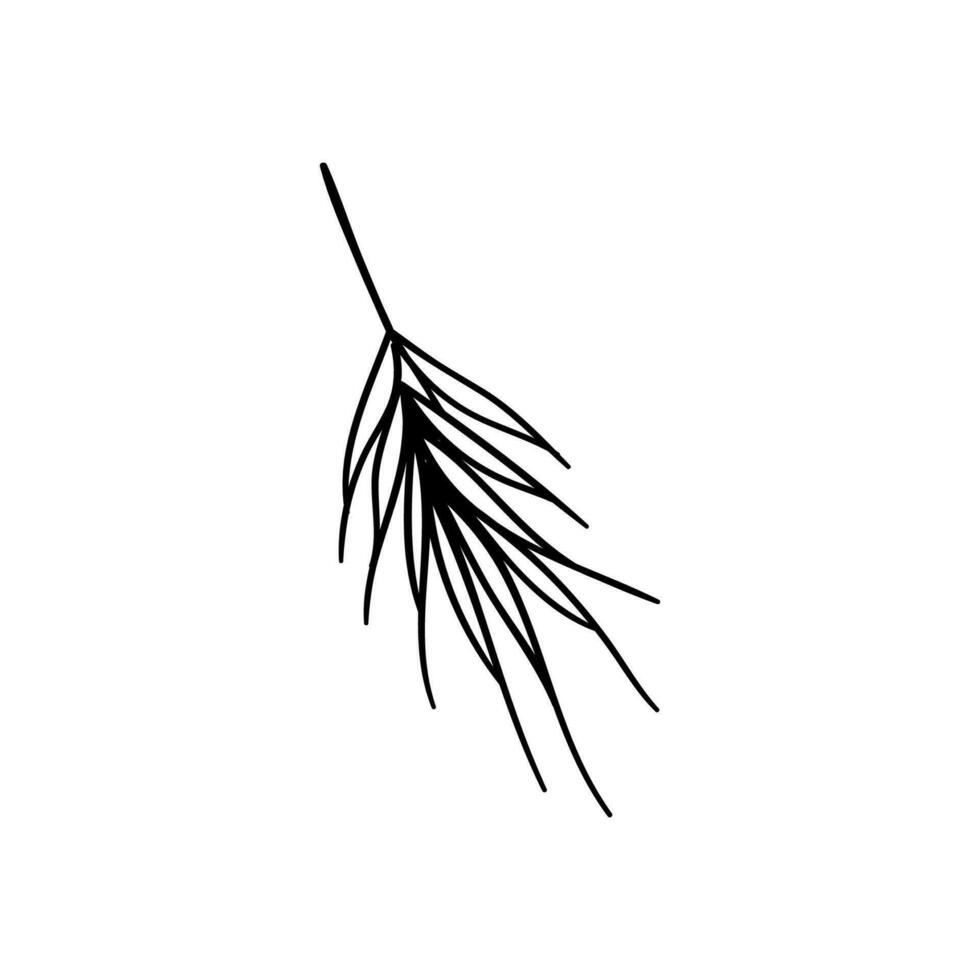 Doodle Outline Wheat Grain. Hand Drawn illustration vector