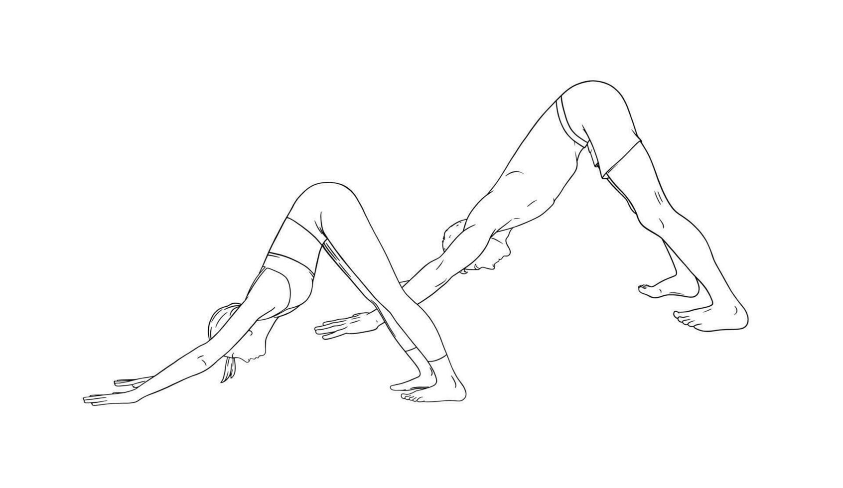 Yoga Downward Facing Dog Pose or Svanasana. Woman and man practicing yoga. Sketch vector illustration