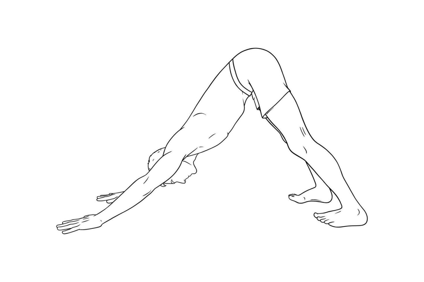Yoga Downward Facing Dog Pose or Svanasana. Man practicing yoga. Sketch vector illustration