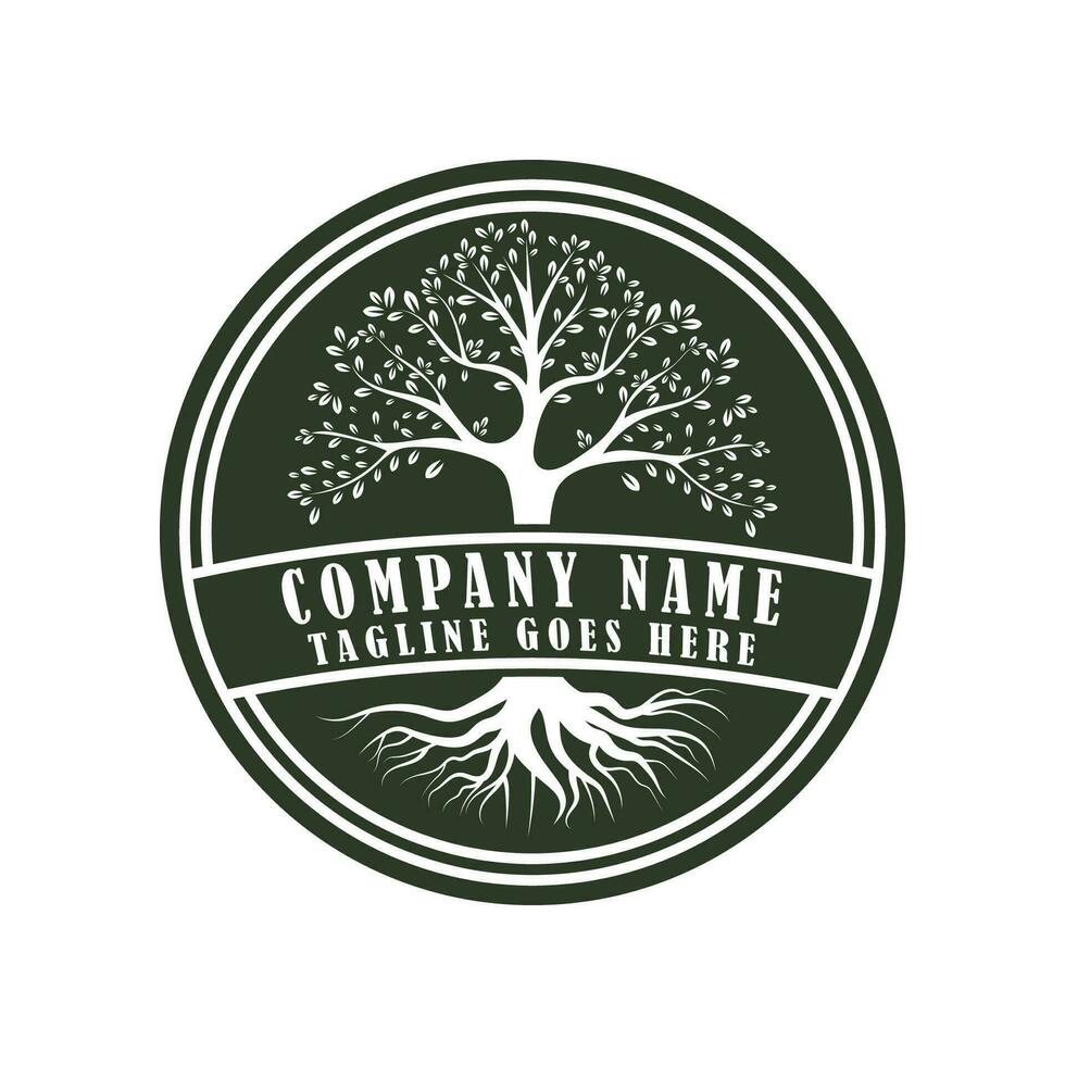 Root Leaf Family Tree of Life Oak Banyan Maple Stamp Seal Emblem Label logo vector