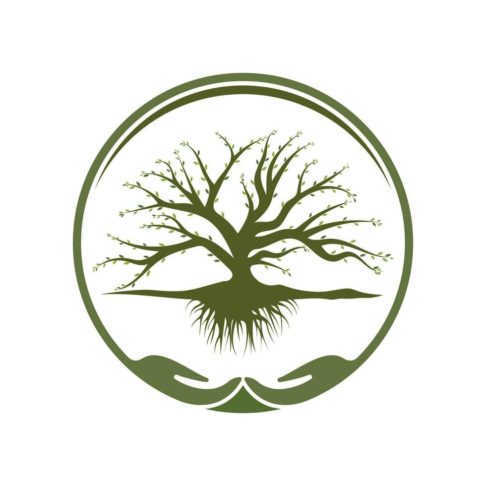 Root Leaf Family Tree of Life Oak Banyan Maple Stamp Seal Emblem Label logo vector
