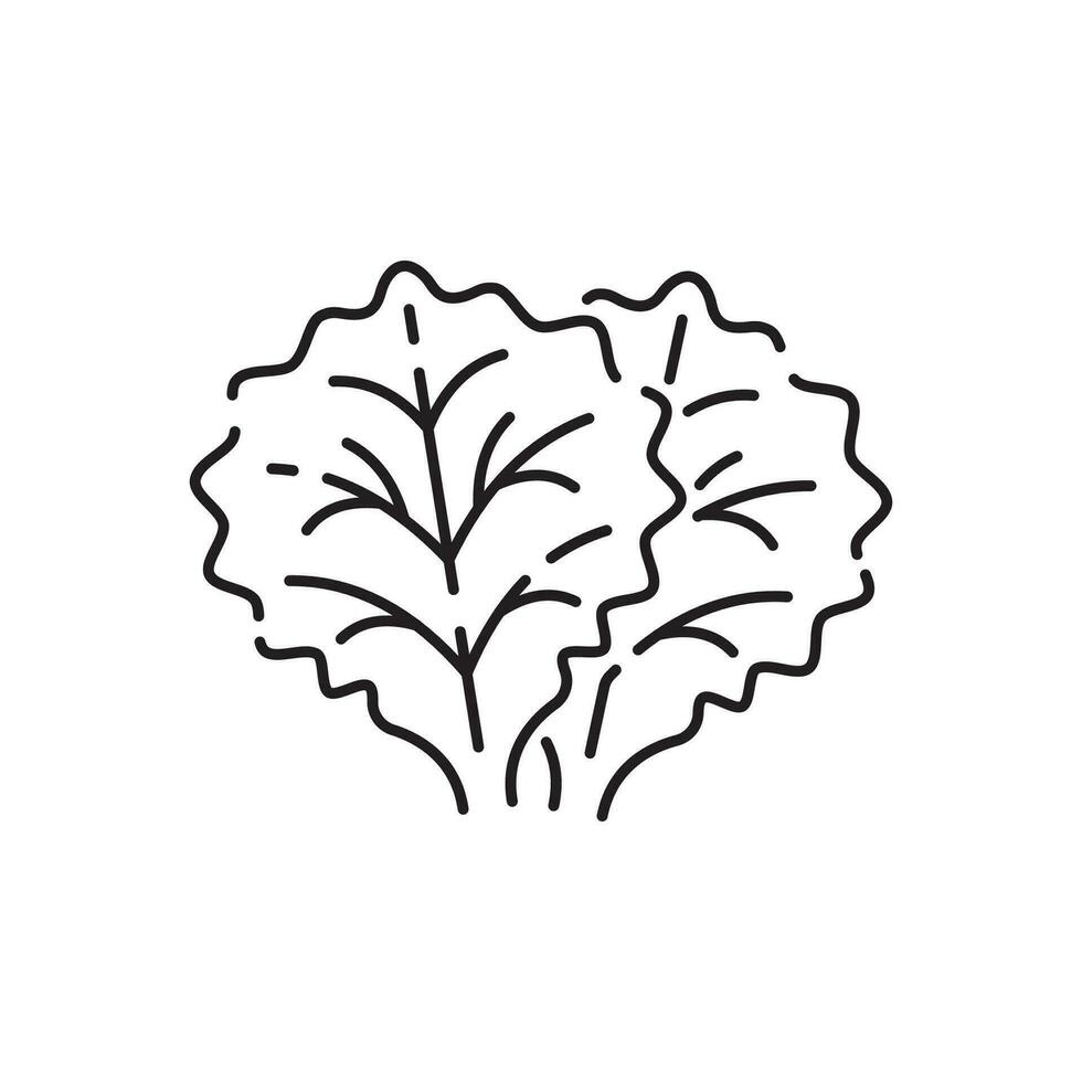Vegetarian, vegetable, veggies - minimal thin line icon. Simple vector icon as tomato, cucumber, kohlrabi, cauliflower, pattypan squash, fiddleheads good food and health .
