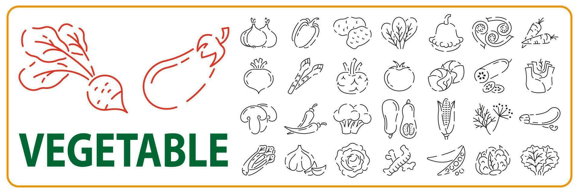 Vegetarian, vegetable, veggies - minimal thin line icon set. Simple vector icon as tomato, cucumber, kohlrabi, cauliflower, pattypan squash, fiddleheads good food and health.