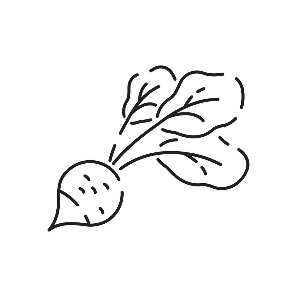 Vegetarian, vegetable, veggies - minimal thin line icon. Simple vector icon as tomato, cucumber, kohlrabi, cauliflower, pattypan squash, fiddleheads good food and health.