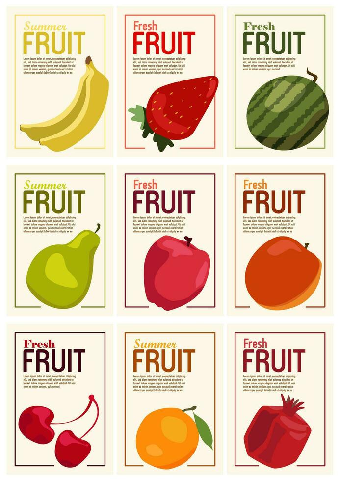 vector verano frutas conjunto para social medios de comunicación, postales, impresión. mano dibujado pera, granada, Mandarina, naranja sucursales. vitamina naturaleza y vegetariano.