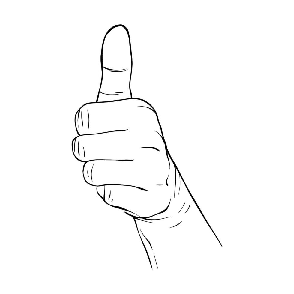 Hand drawn gesture sketch vector illustration line art