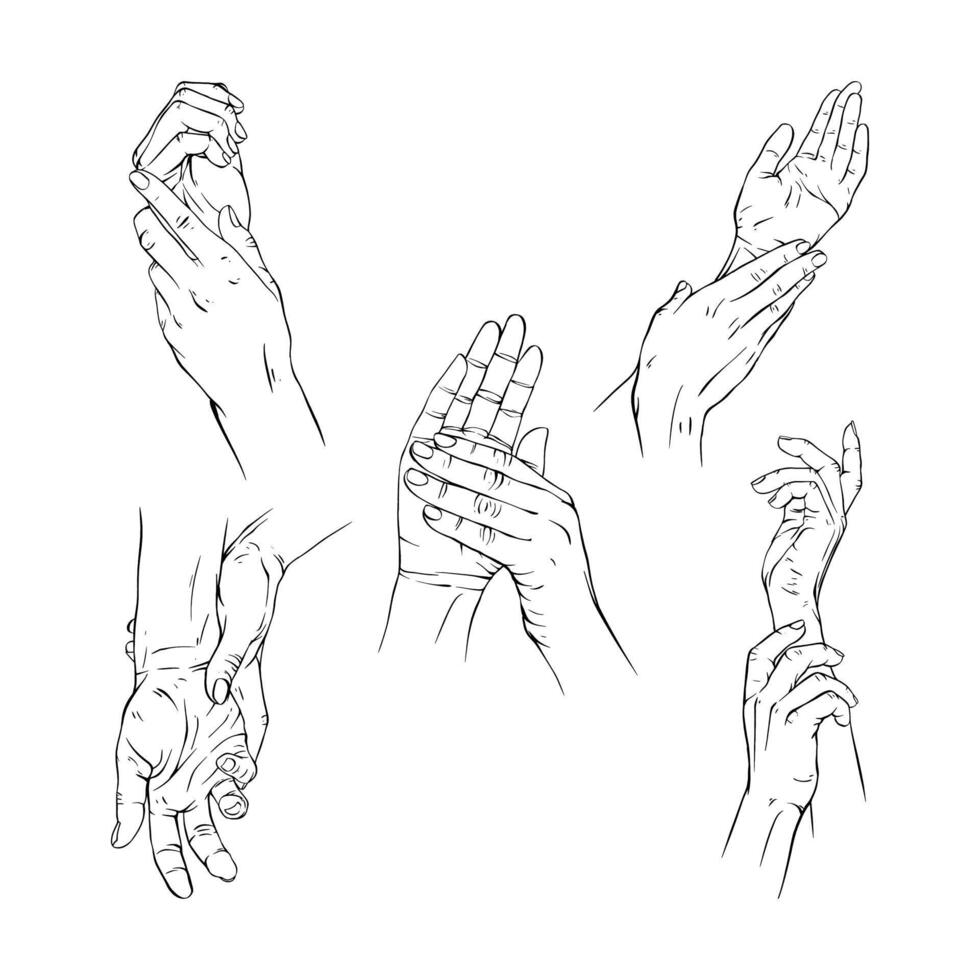 Set two hand collection drawn gesture sketch vector illustration line art