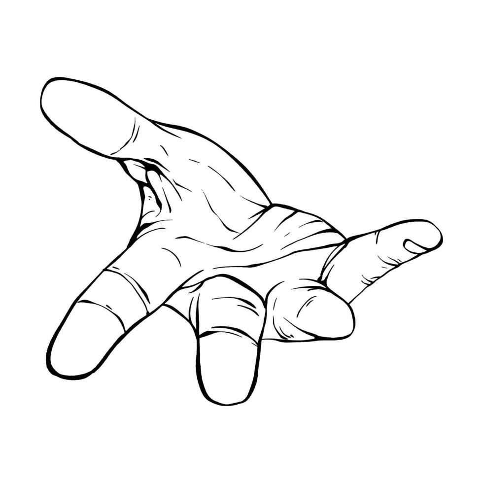 Hand drawn gesture sketch vector illustration line art