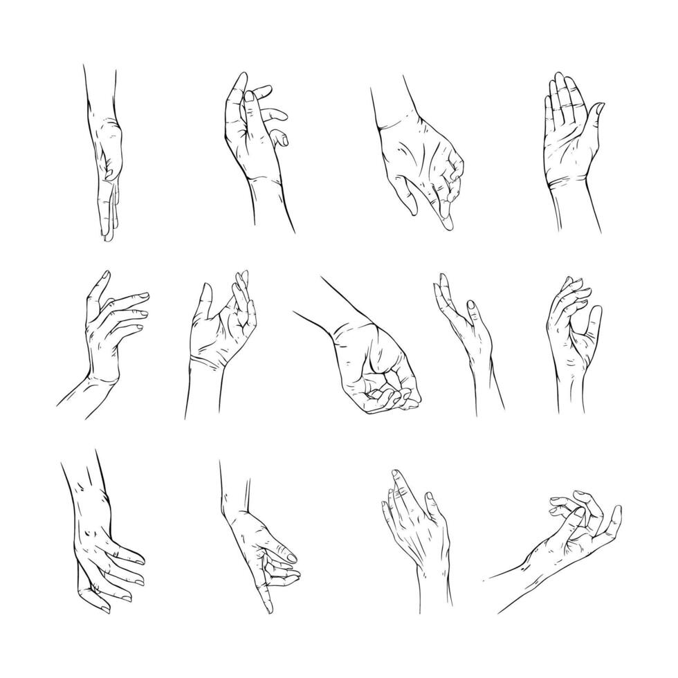 Set hand collection drawn gesture sketch vector illustration line art