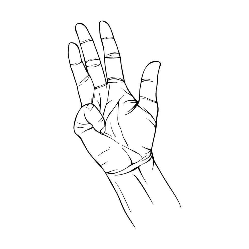 Hand drawn gesture sketch vector illustration line art