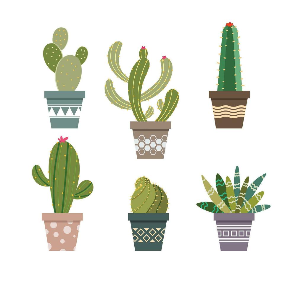 cactus illustration in flat cartoon style. vector