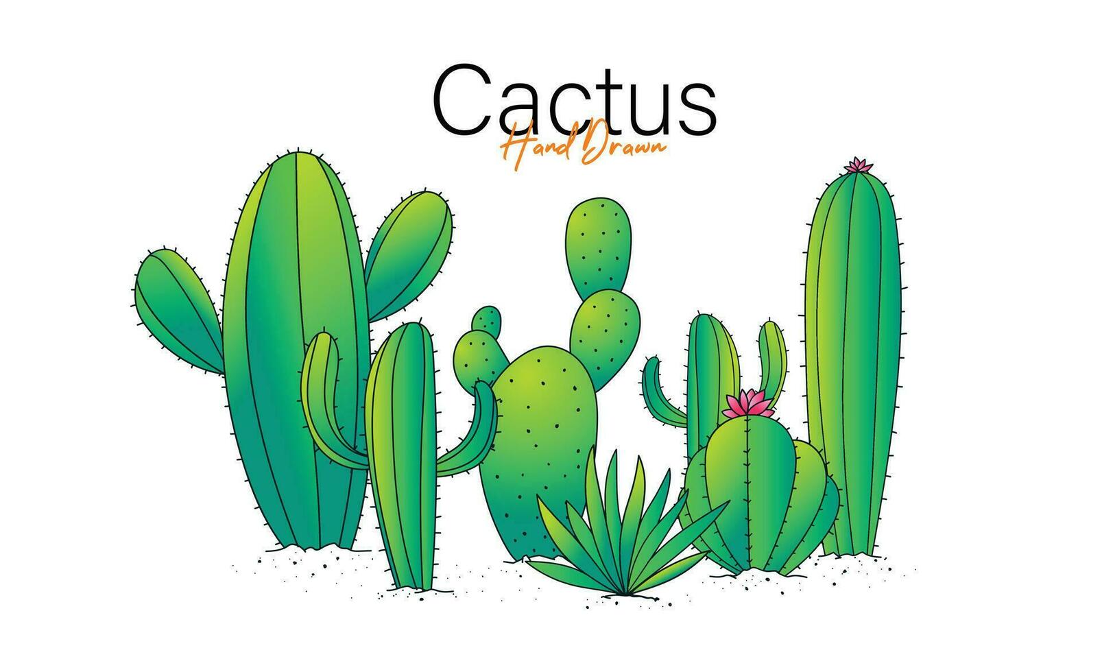 Cactuses and succulents  illustration for background design vector