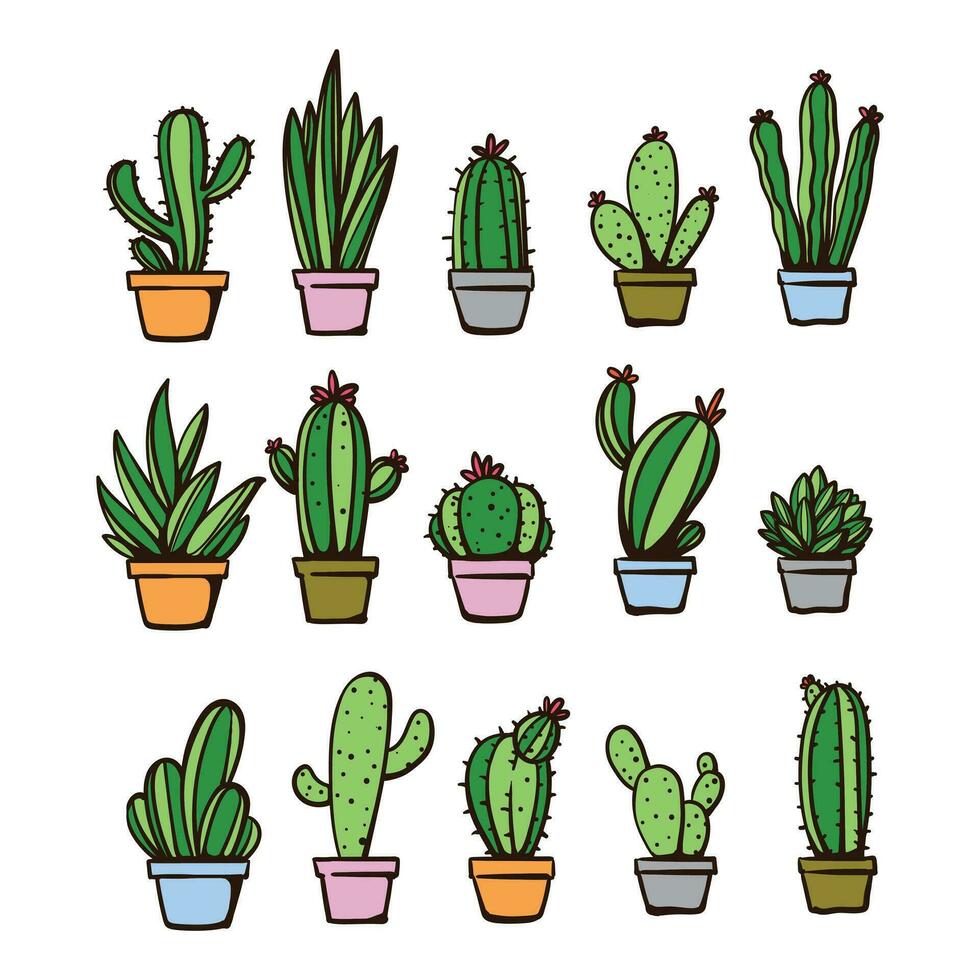 collection of hand drawn cactus vector