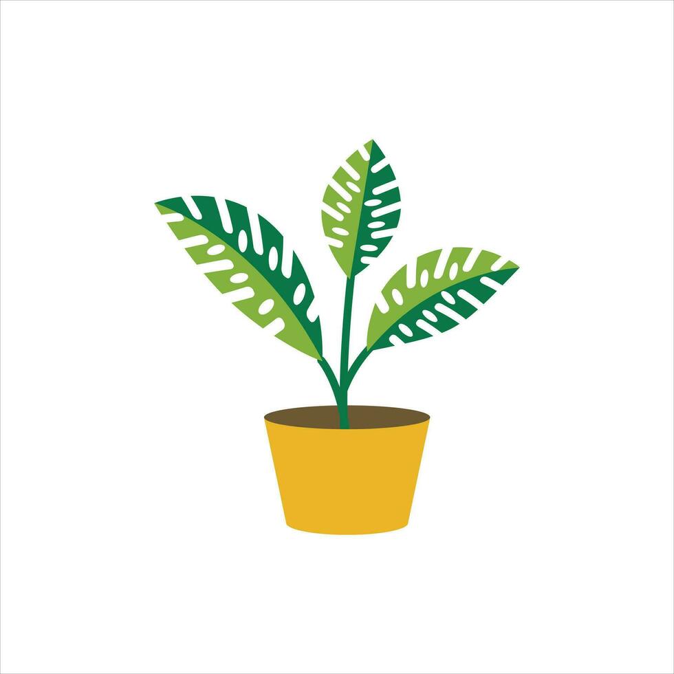 Plant Free Vector