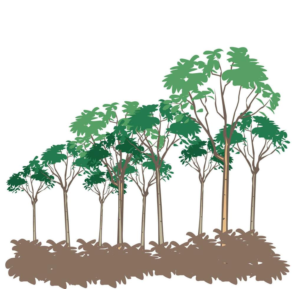 arboles gratis vector