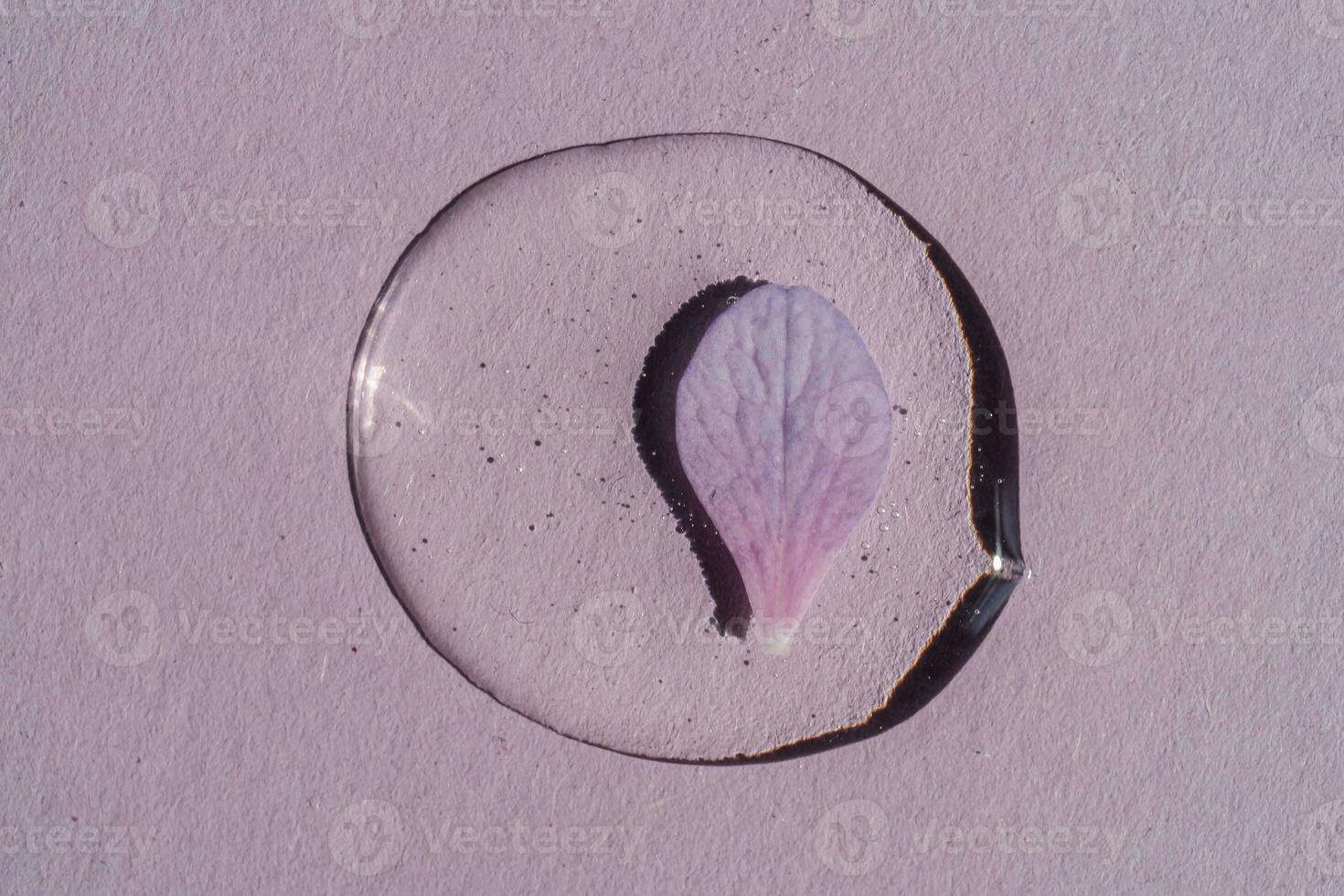 un soltar de transparente cosmético gel con flores en un púrpura antecedentes. foto