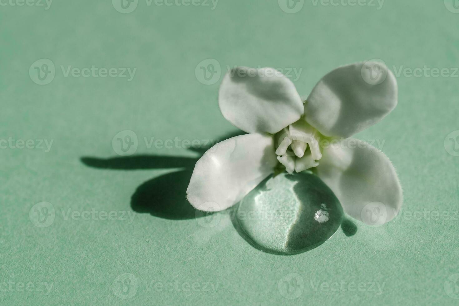 A drop of transparent cosmetic gel with flower on a green background. photo