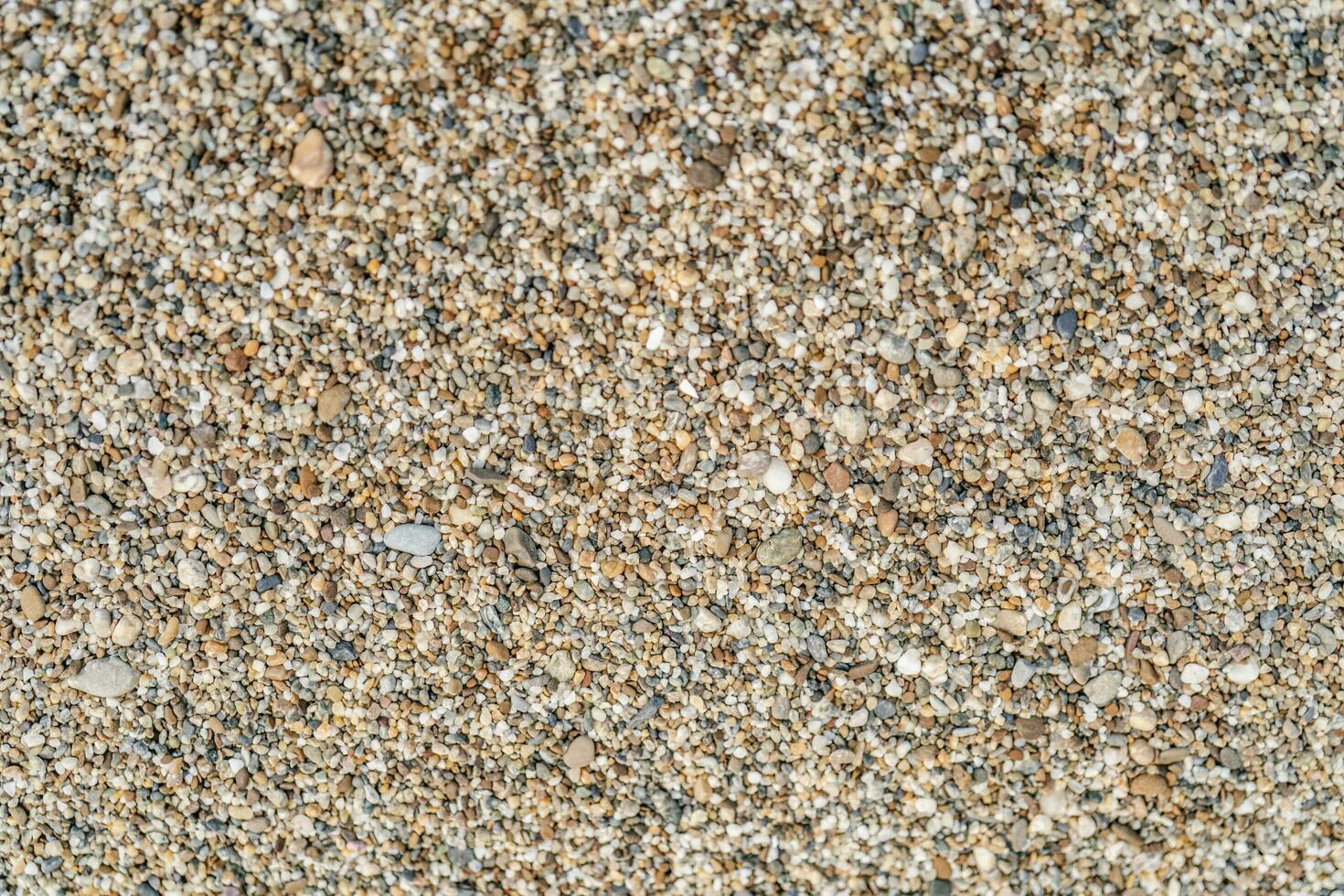 The texture of coarse sand near. Macro. photo