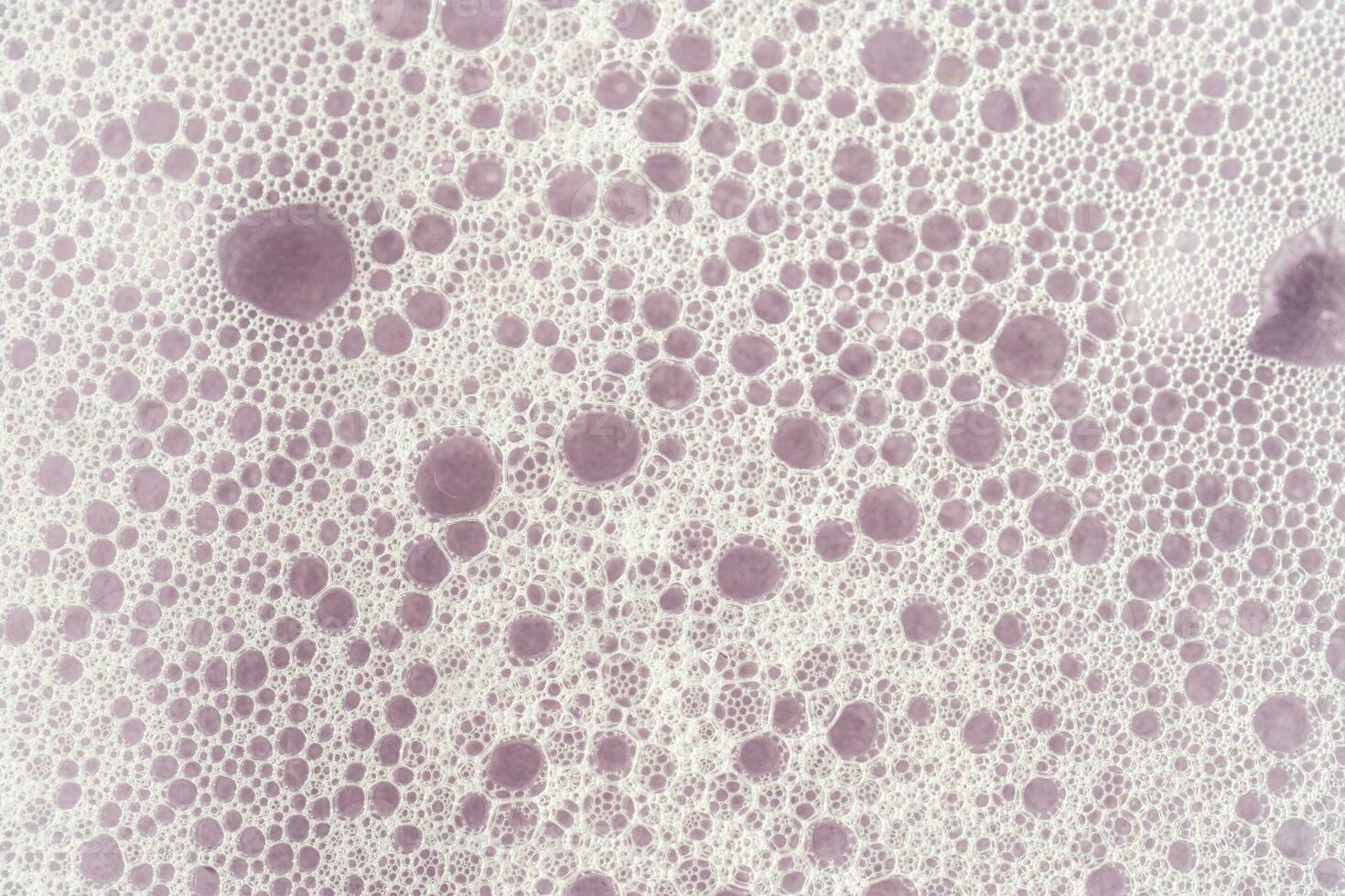 Texture of white foam on a purple background. photo