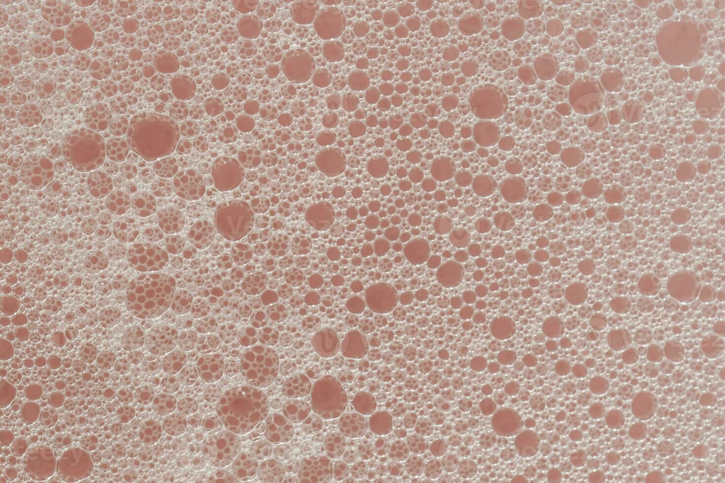 Texture of white foam on a pink background. photo