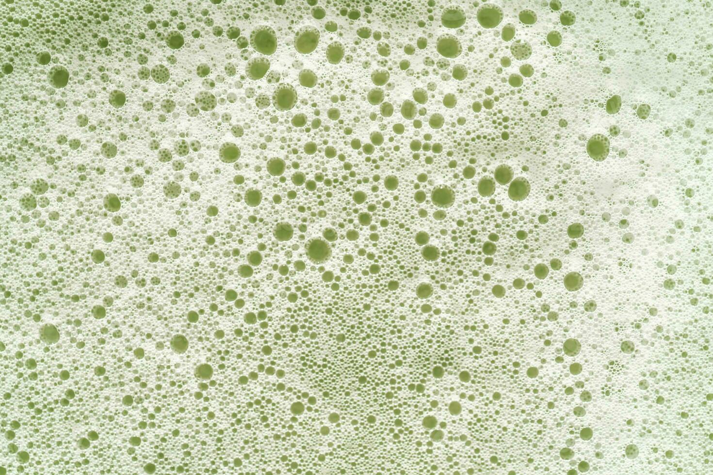 Texture of white foam on a green background. photo