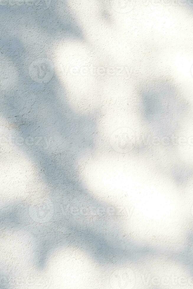 A wall with shadows from leaves. Abstract background. photo